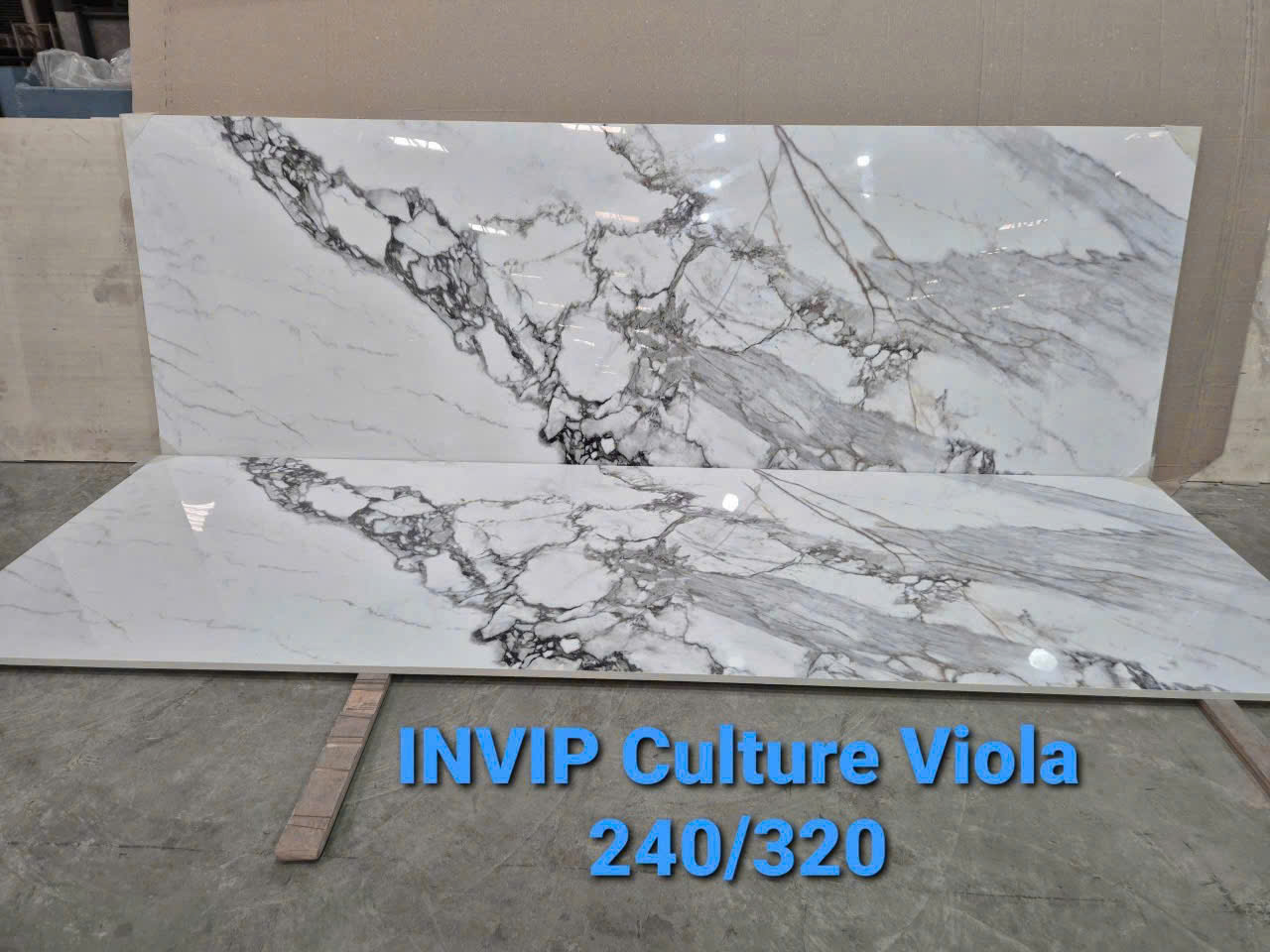 Invip Culture Viola